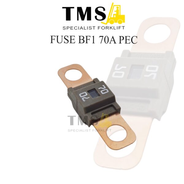 Fuse BF1 70A 58V DC PEC For Forklfit