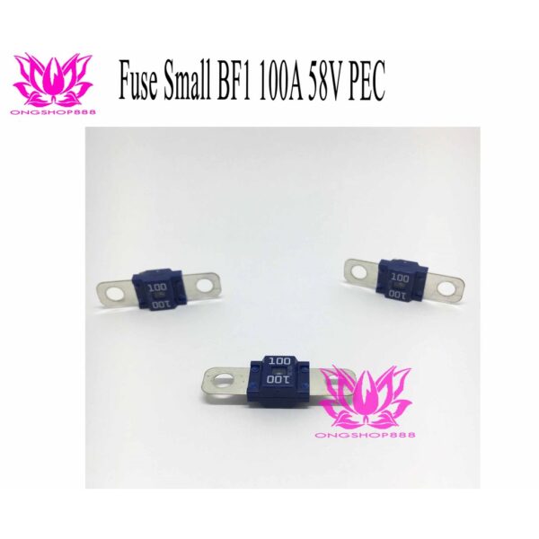 Fuse 100A Blue Small BF1 for Forklift 58V PEC