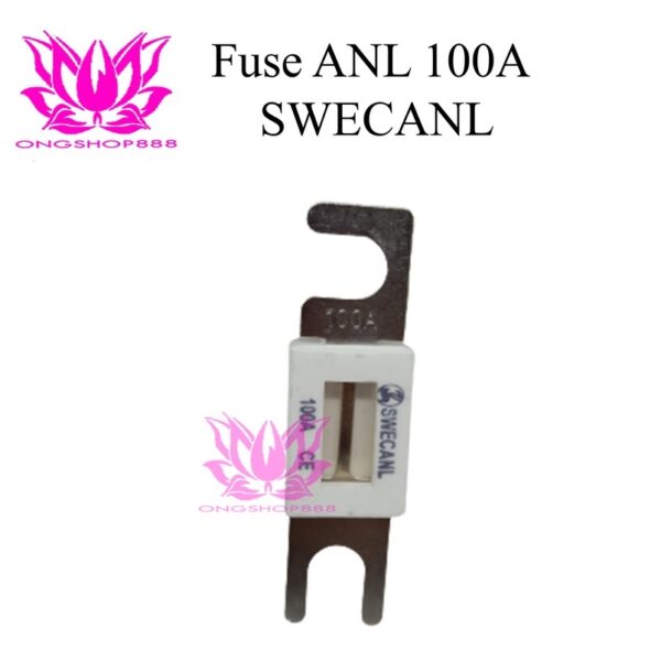 Fuse White ANL 100A Sikring SWECANL For Forklift ReachTruck Stacker