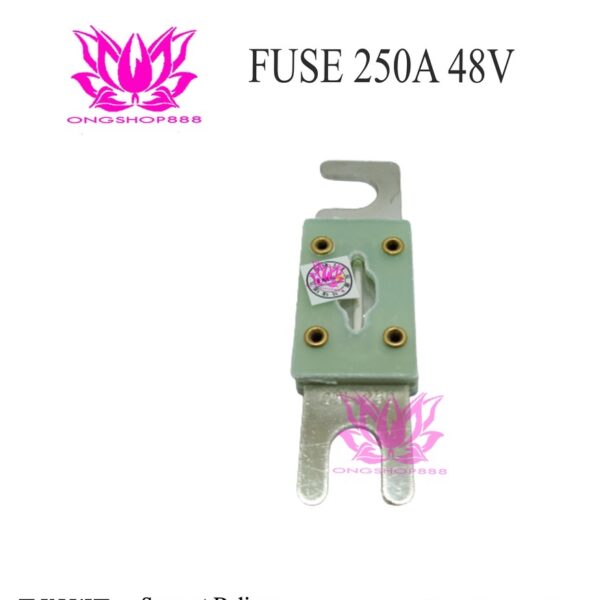 Fuse CNL 250A 48V For Forklift Sekring 250A 48V type CNL