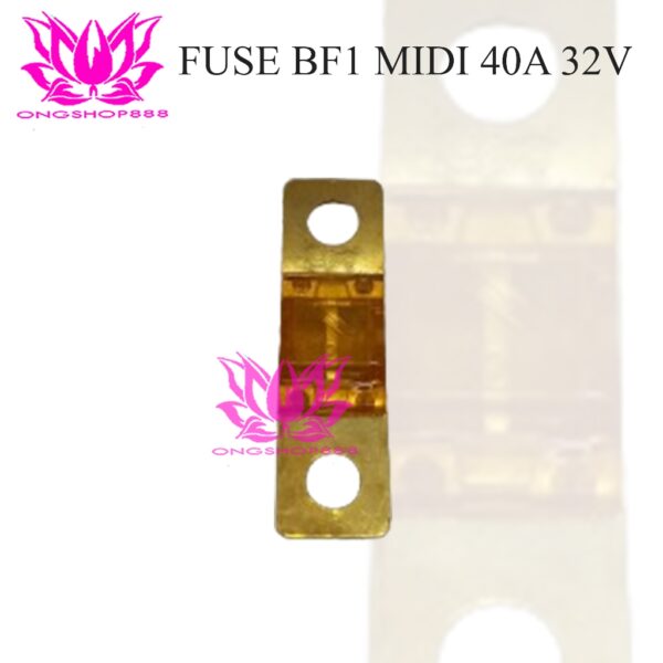 Fuse BF1 Small Midi 40A 32V Forklift Charger Skring