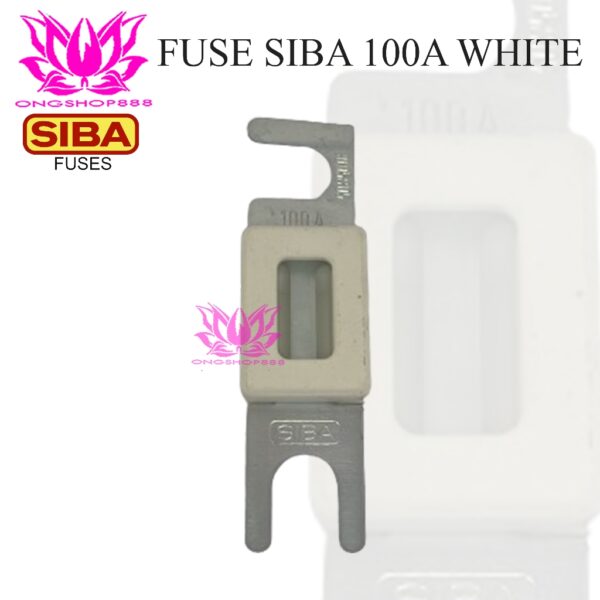Fuse 100A SIBA for Forklift - White