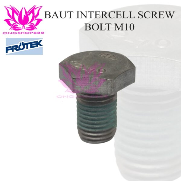 Baut Intercell Screw Terminal Bolt M10 Counter Balance Perfect type