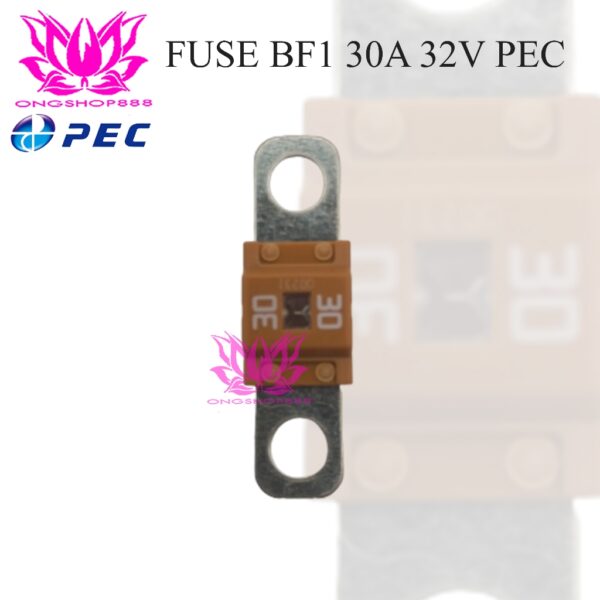FUSE 30A SMALL BF1 - PEC