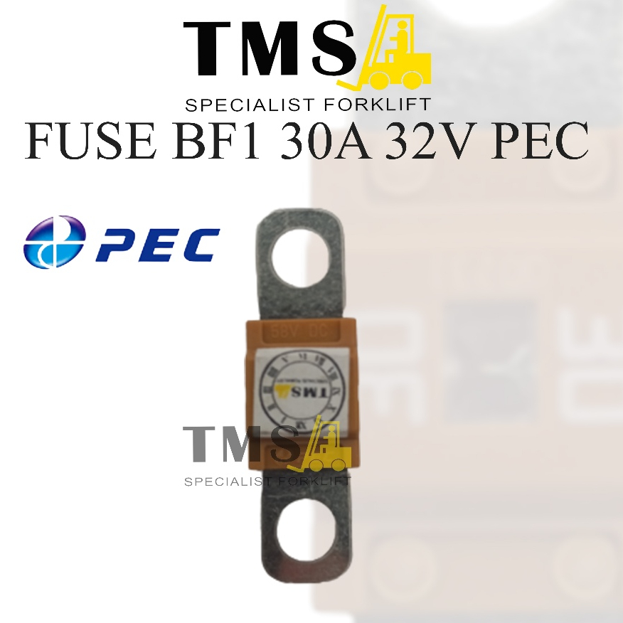 FUSE 30A SMALL BF1 - PEC - Gambar 2