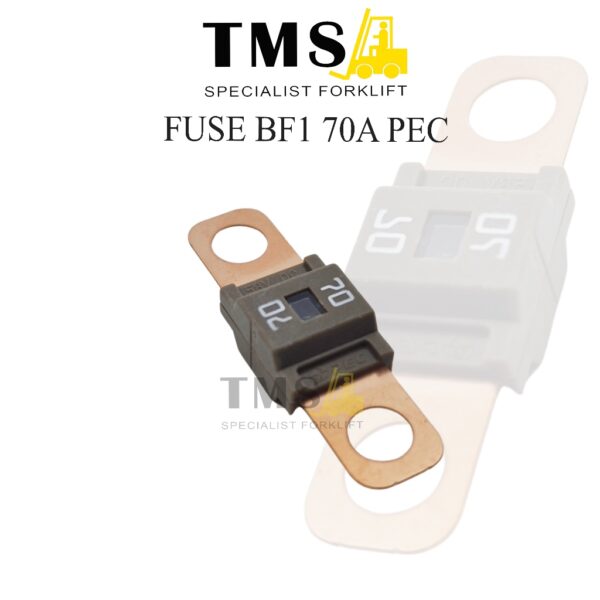 Fuse BF1 70A 58V DC PEC For Forklfit