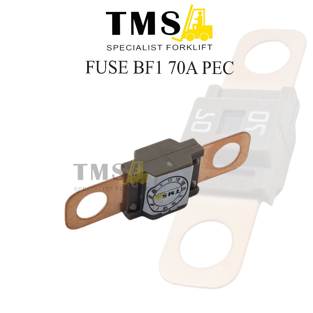 Fuse BF1 70A 58V DC PEC For Forklfit - Gambar 2