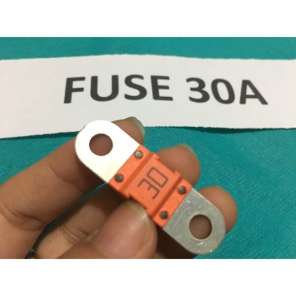 Fuse 30A (Small BF1) For Forklift