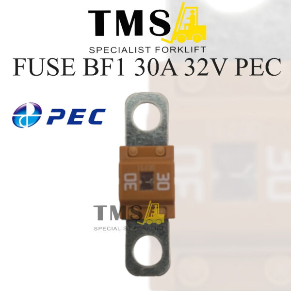 FUSE 30A SMALL BF1 - PEC